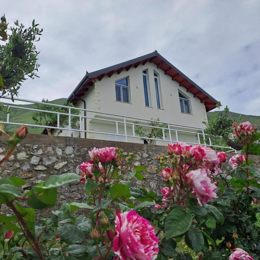Xhuli Guesthouse Shkodër Exterior foto