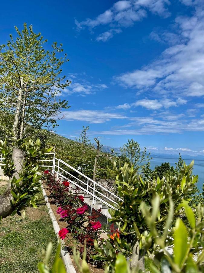 Xhuli Guesthouse Shkodër Exterior foto