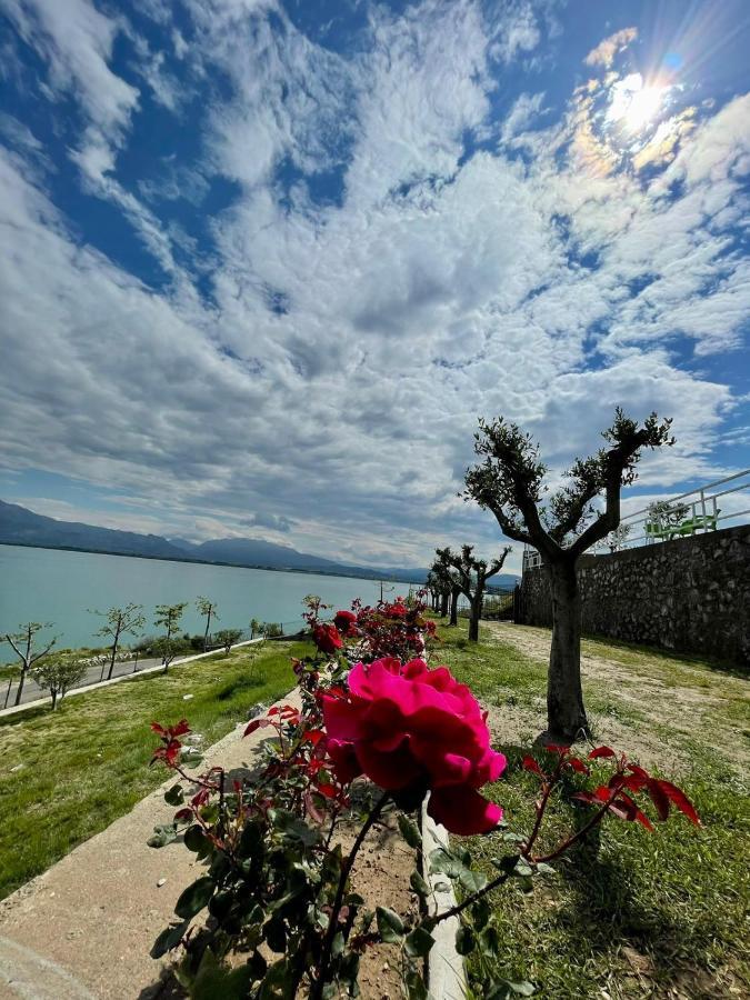 Xhuli Guesthouse Shkodër Exterior foto